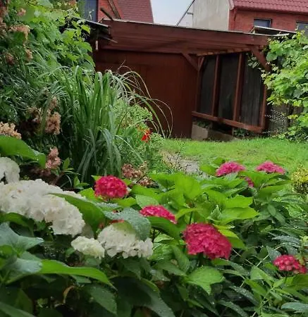Vinny Sklep U Stareho Presu Holiday home